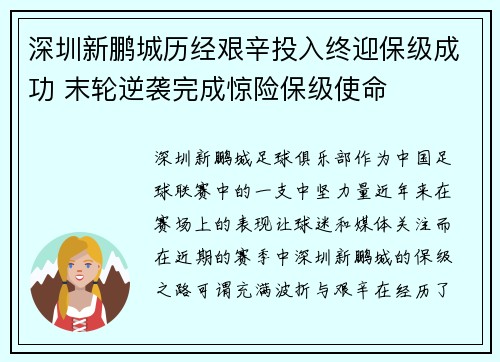 深圳新鹏城历经艰辛投入终迎保级成功 末轮逆袭完成惊险保级使命